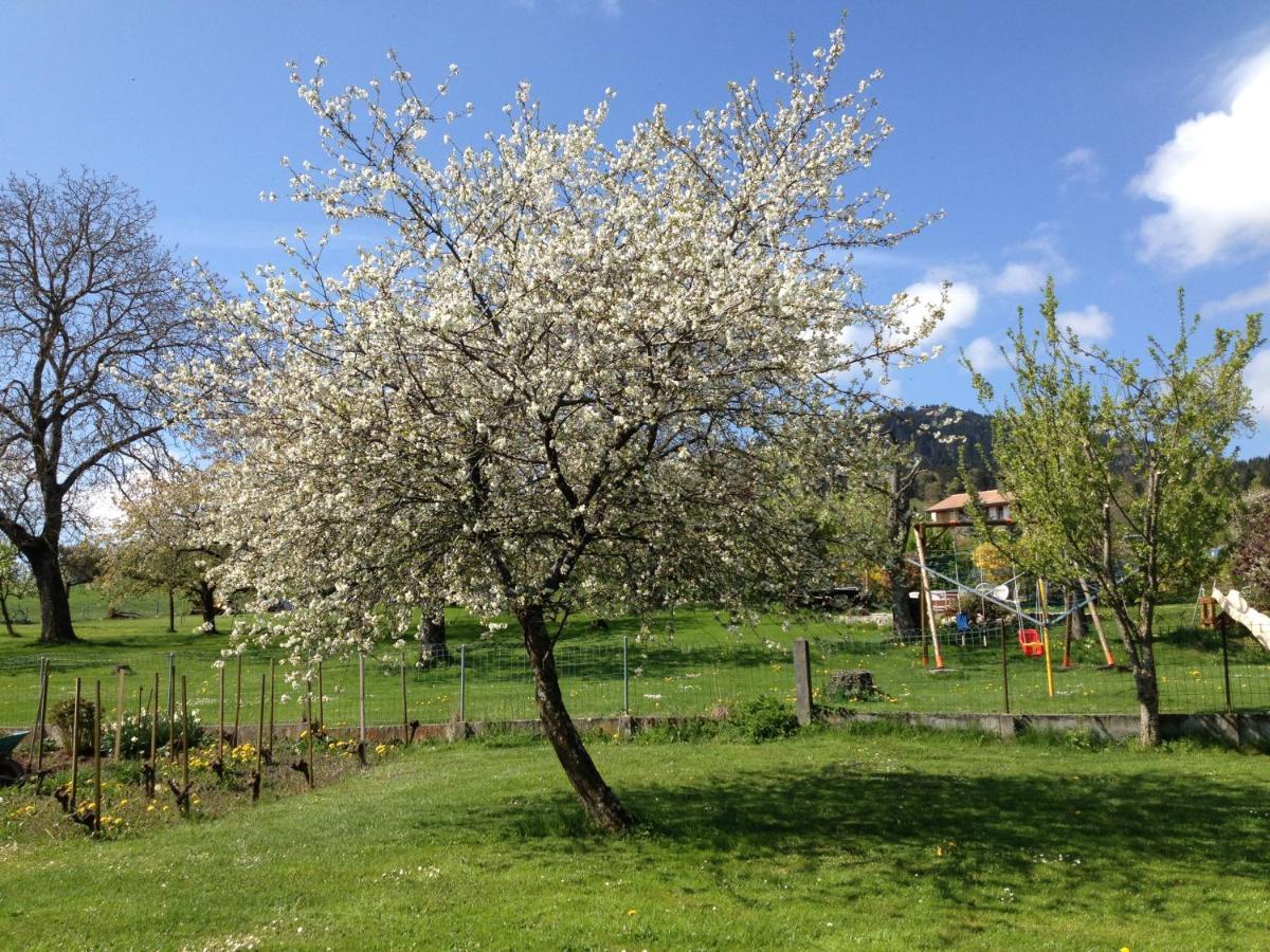 Bed and Breakfast Le Pre Juriens Екстер'єр фото
